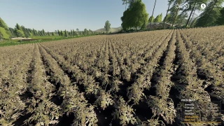 Almostafarm Productions v 1.3 thumbnail 2