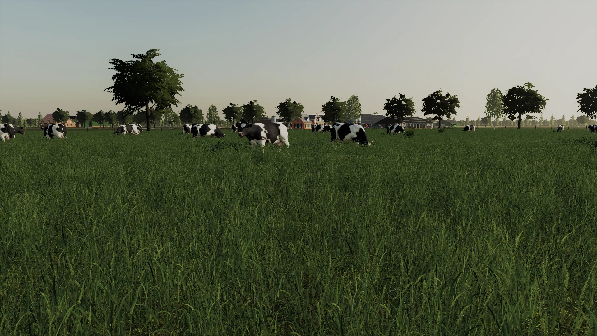 Cow Pasture v 2.0