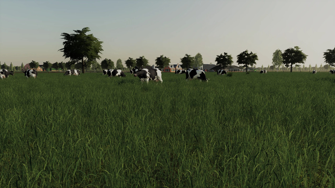 Cow Pasture