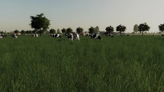 Cow Pasture v 2.0 thumbnail 7
