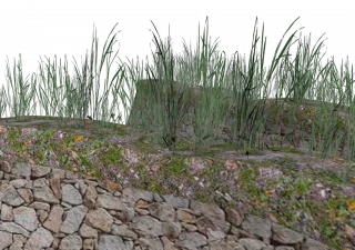 Dry Stone Wall v 1.0 thumbnail 3