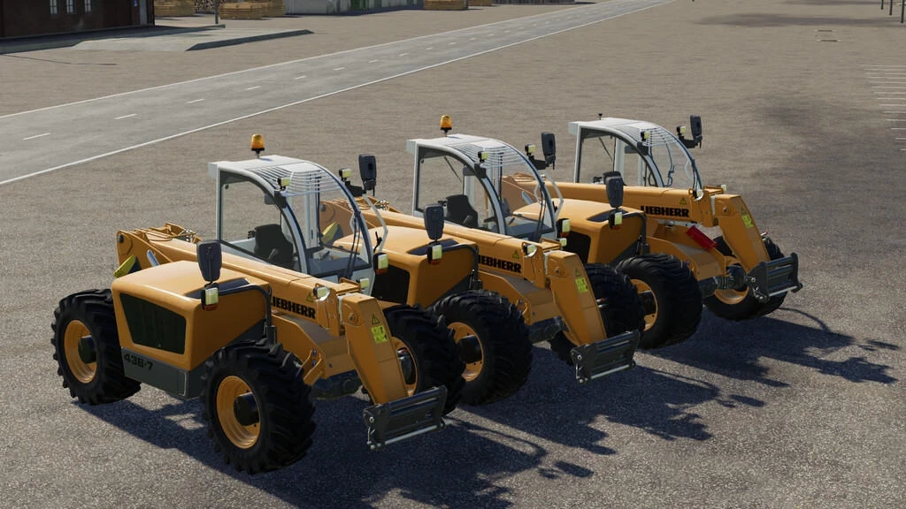 FS19 Loaders pack v 1.0