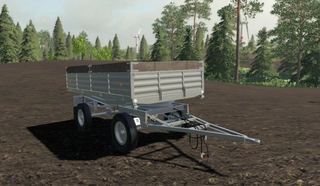 Lizard D47