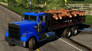 TLX Phoenix Series v 1.3