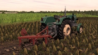 UNIA GRUDZIĄDZ 3 v 1.0 thumbnail 3