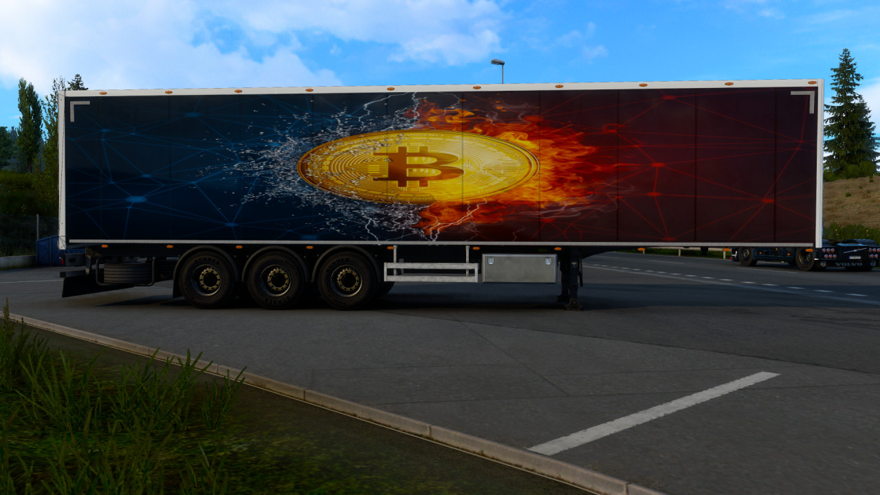 Bitcoin skin