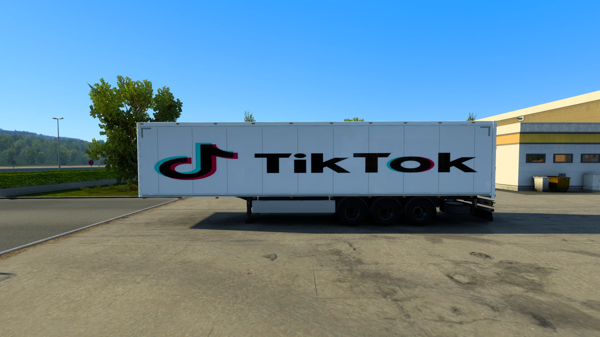 TikTok_truck_skin 1.0 ETS 2