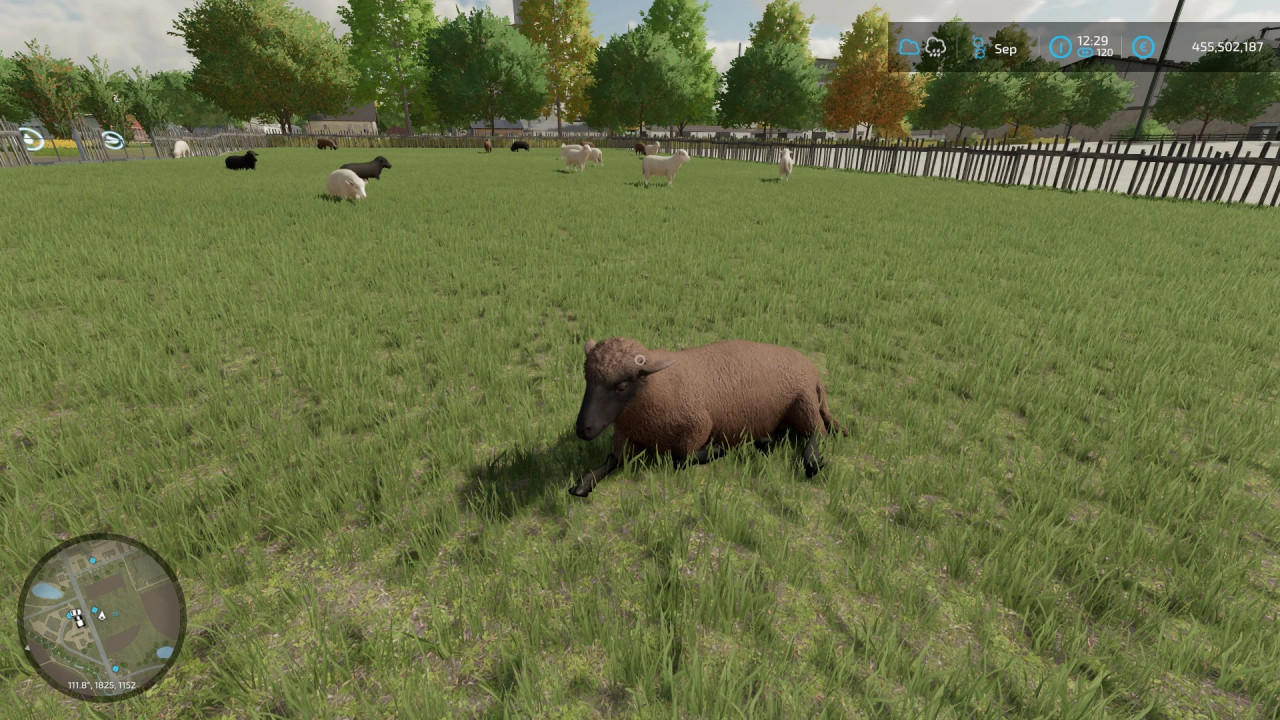 SheepBarnXXL