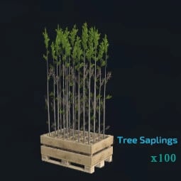 Tree Sapling Pallet (100 pieces)