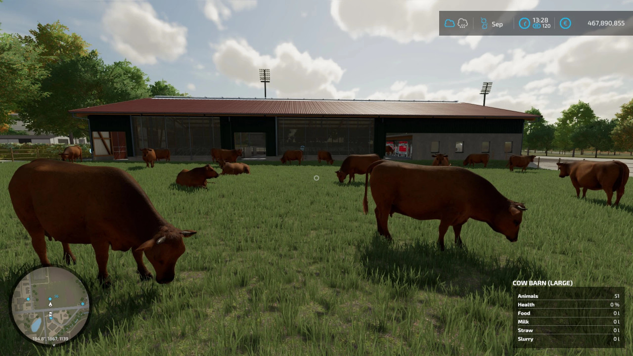 Cow Barn Big