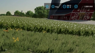Freeze Time v 1.0.1 thumbnail 4