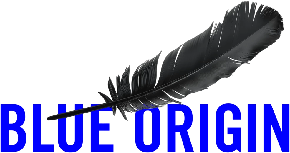 Blue Origin 1.0