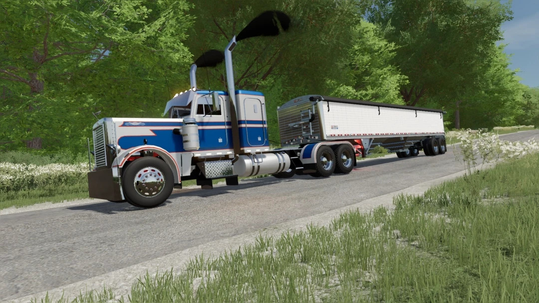 359 Peterbilt Custom