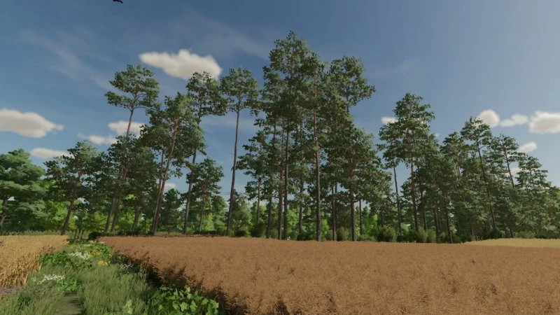 FS22 DOLINA
