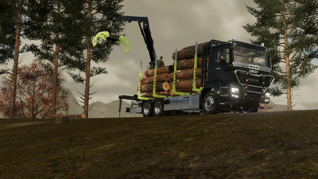 MAN TGS Shortwood