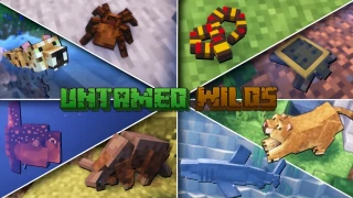 Untamed Wilds