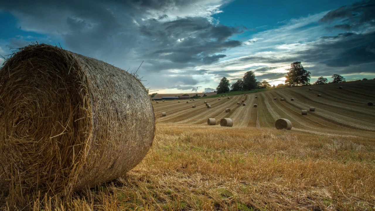 Calmsden Farm Edit