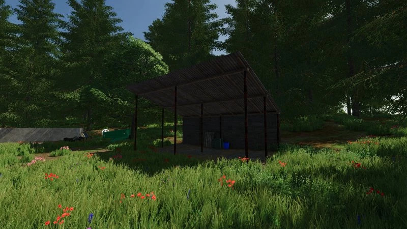 Small Polish Shed