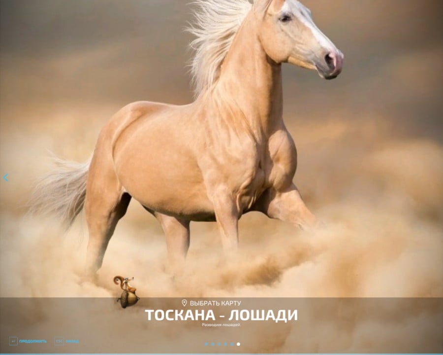 Toscana - Horses