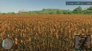 Additional Field Info v 1.0.2.1 thumbnail 4