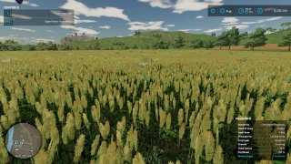 Additional Field Info v 1.0.2.1 thumbnail 3
