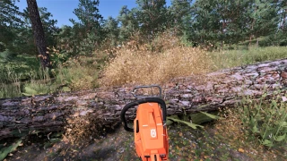 Husqvarna 266 XP v 1.1 thumbnail 2
