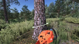 Husqvarna 266 XP v 1.1 thumbnail 3