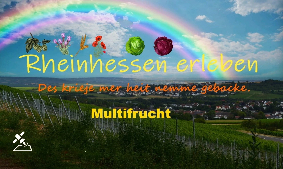 Rheinhessen Map