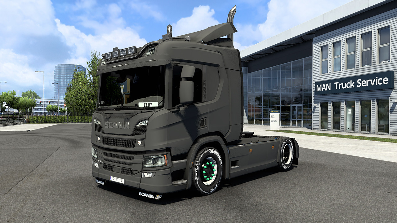 Skins Matte Trucks