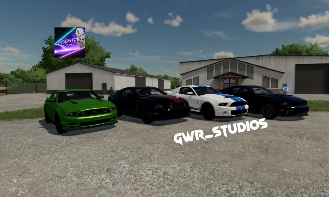 2013-2014 S197 Mustang
