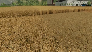 Better stubble texture v 1.0 thumbnail 5