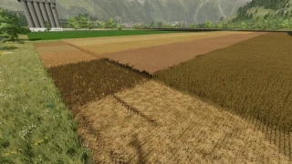 Better stubble texture v 1.0 thumbnail 2