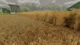 Better stubble texture v 1.0 thumbnail 4