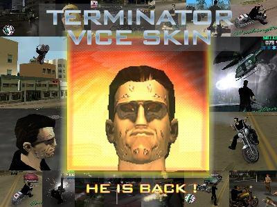 Terminator Skin