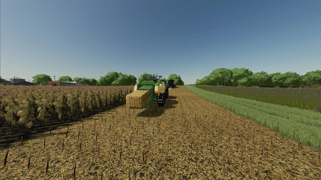 Extended Straw Crops