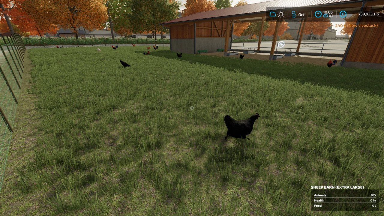 Extra large chicken coop for 10000 animals