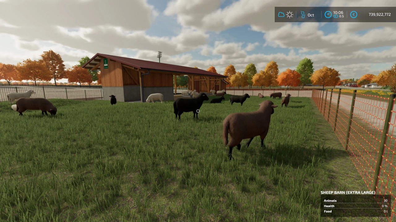 Extra Large Sheepfold