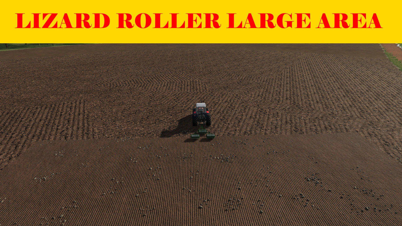 Lizard Roller Large Area