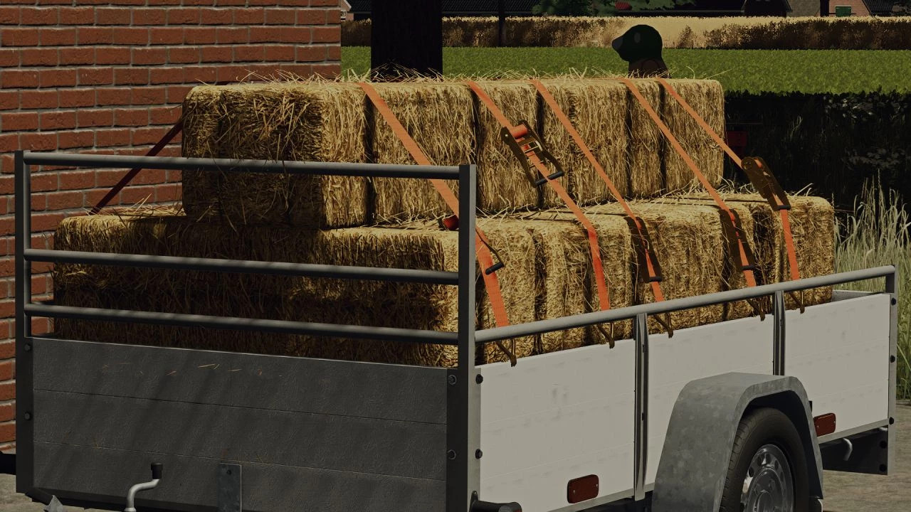 Saris Trailer DW 150