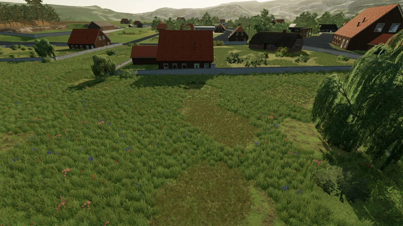 Antigonia BETA