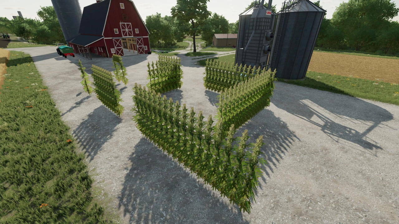 DIY Cannabis Maze