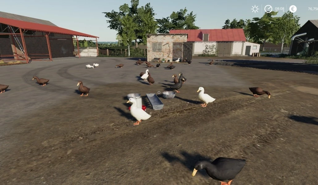 FS19 Ducks v 1.0