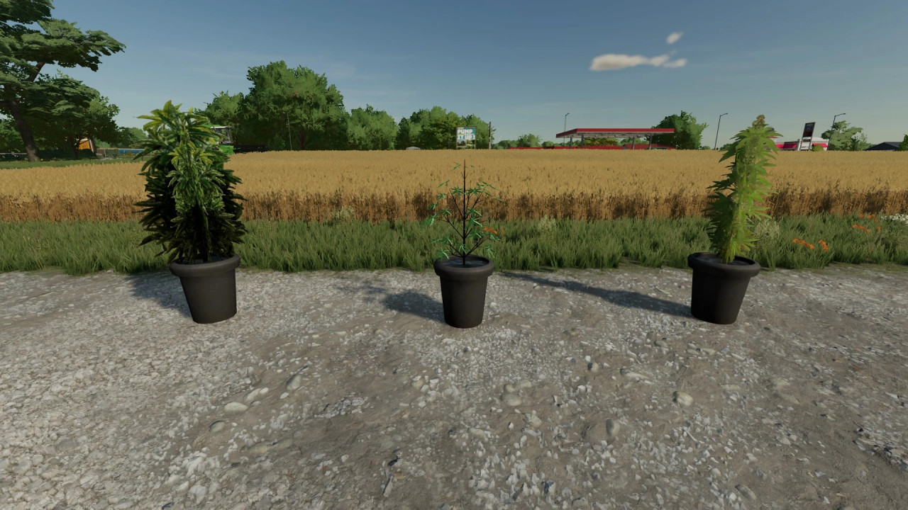 FS22 Cannabis Plants Pack