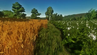 FS22 Shadery by Krzychu v 1.0 thumbnail 6