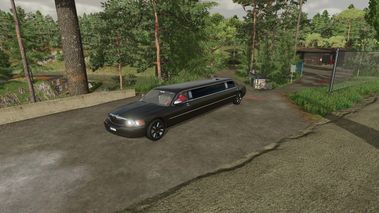 Lincoln Town Car Limousine