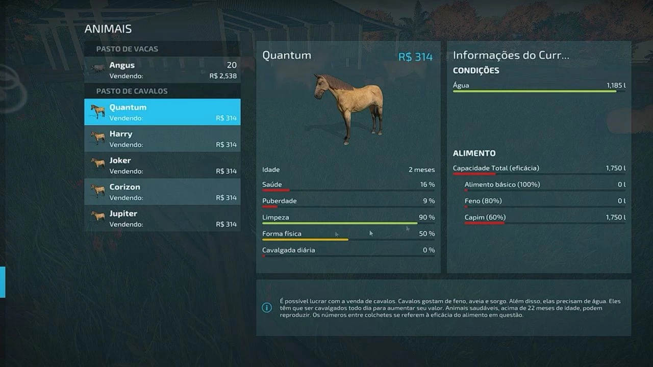 Realistic Food v 1.0