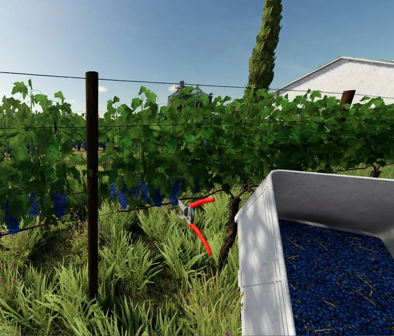 Vine Hand-Harvest Pack