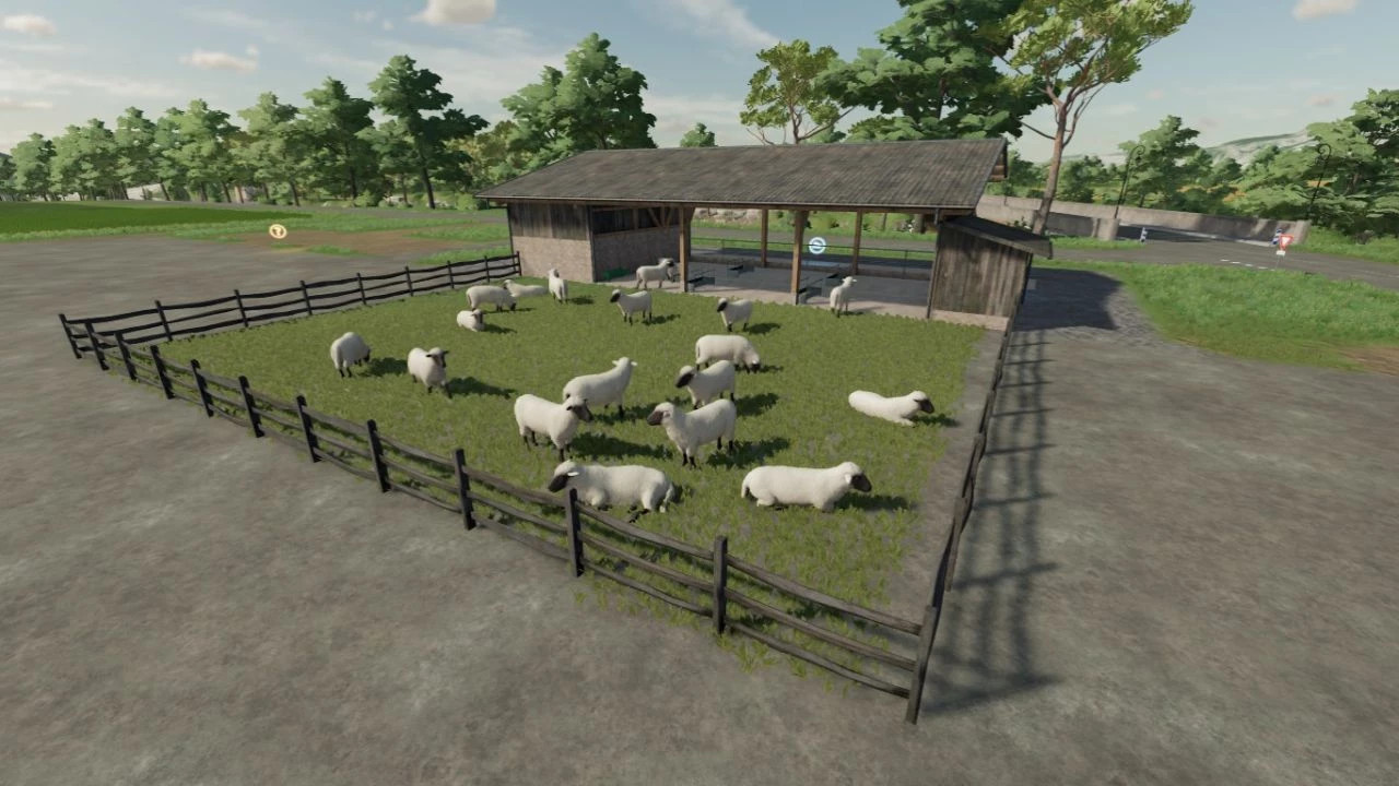 Sheep Barn Old School