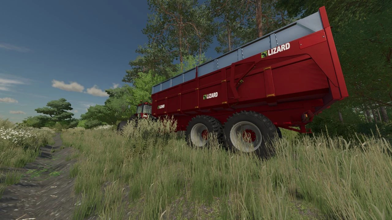 Lizard 3093