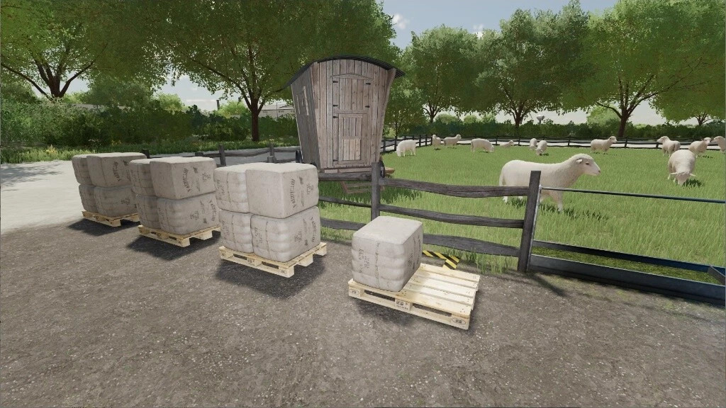 Open Pastures For Milk And Wool Sheeps
